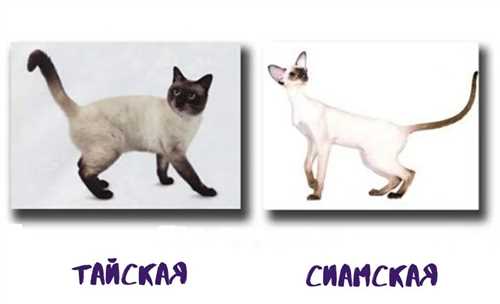 Заводчики