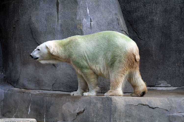 Уникальные