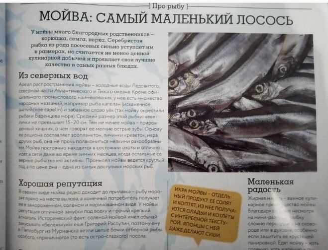 Применение в кулинарии: способы приготовления и рецепты