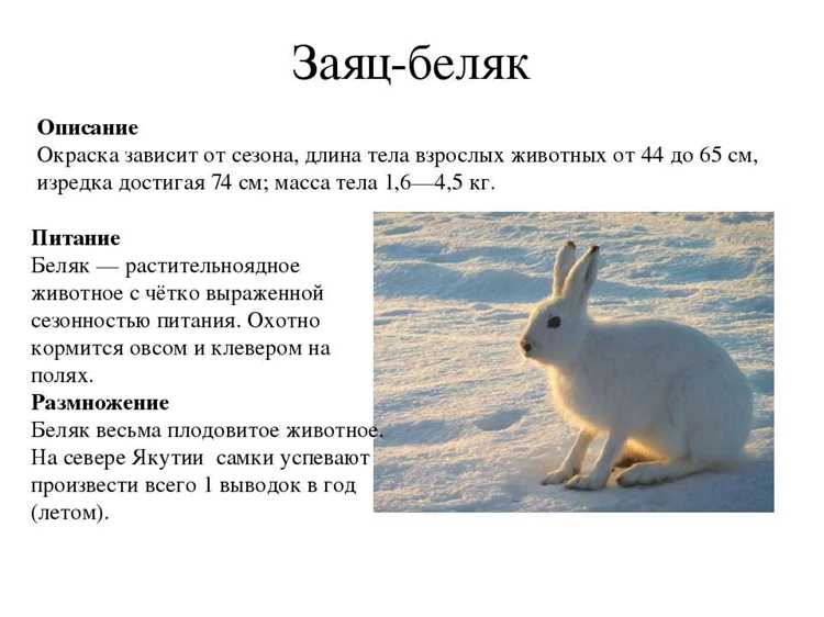 Влияние морфологических характеристик на поведение