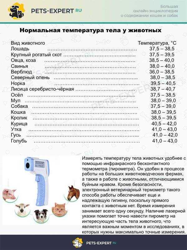 Профилактика заболеваний, влияющих на показатели