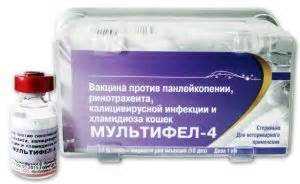 Хранение