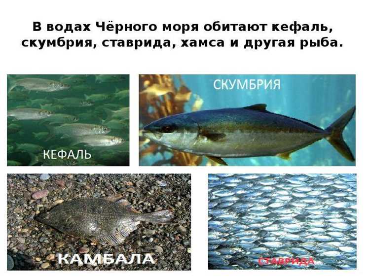 Польза и вред для здоровья