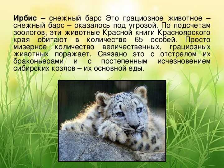 Определение и цели Красной книги