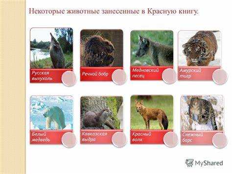 Значение