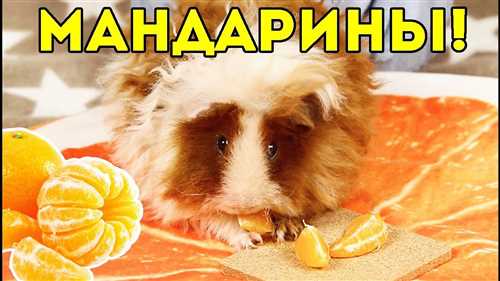 Питание