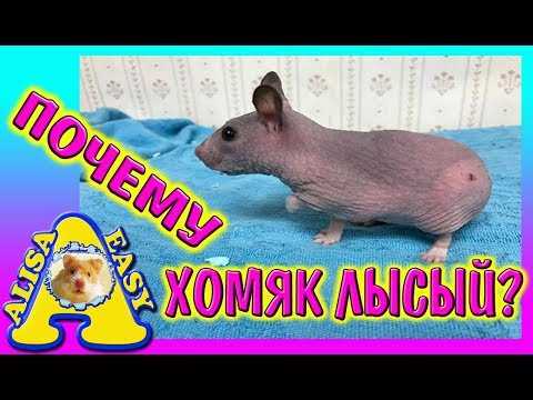 Неправильное