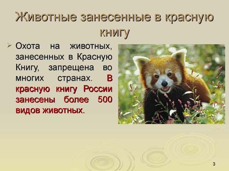 Где обитают редкие виды?