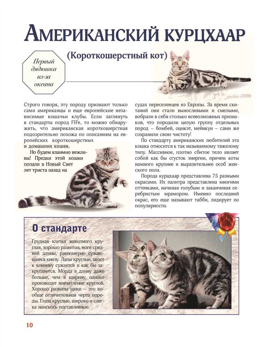 Превращение