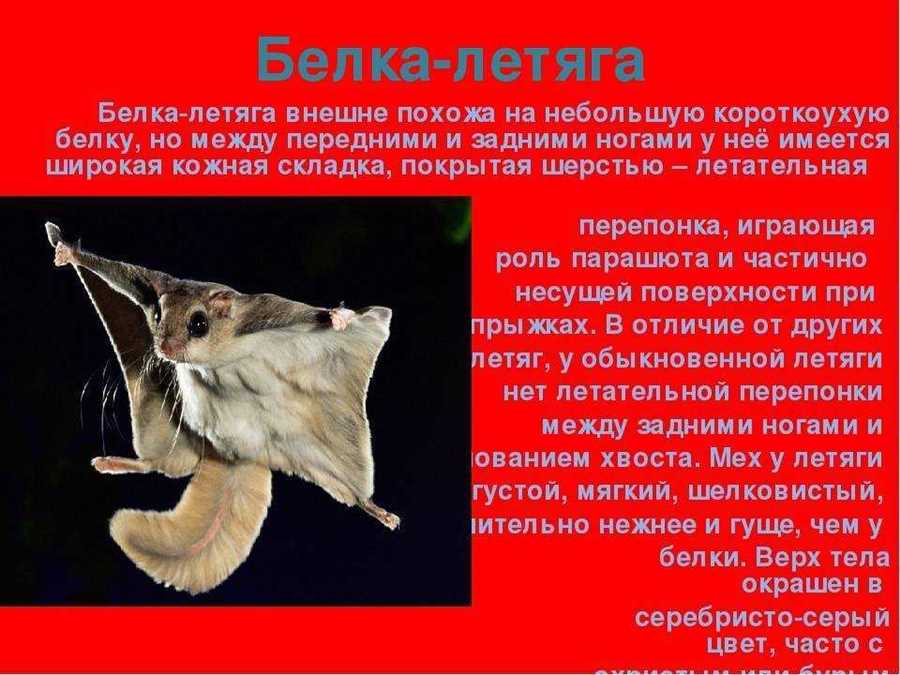 Классификация