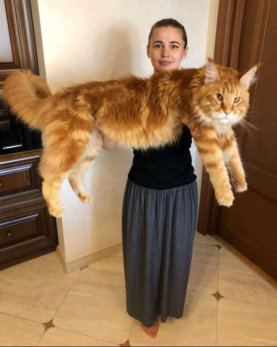 Развлечения