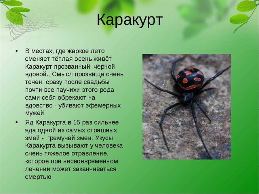 Особенности