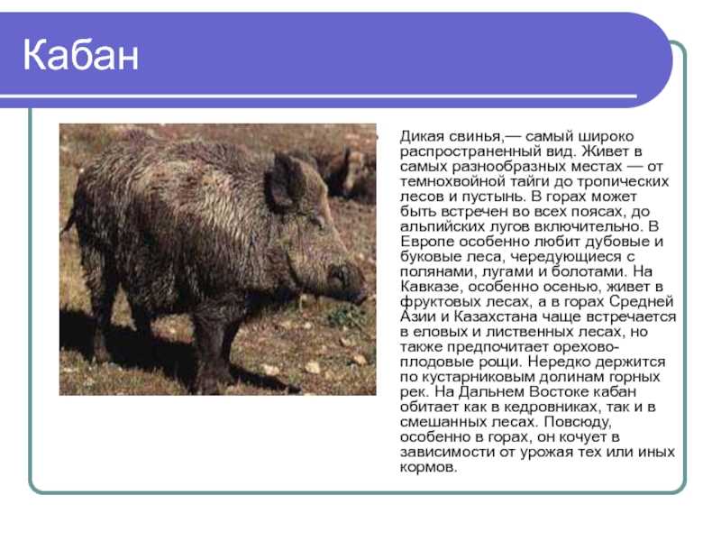 Место