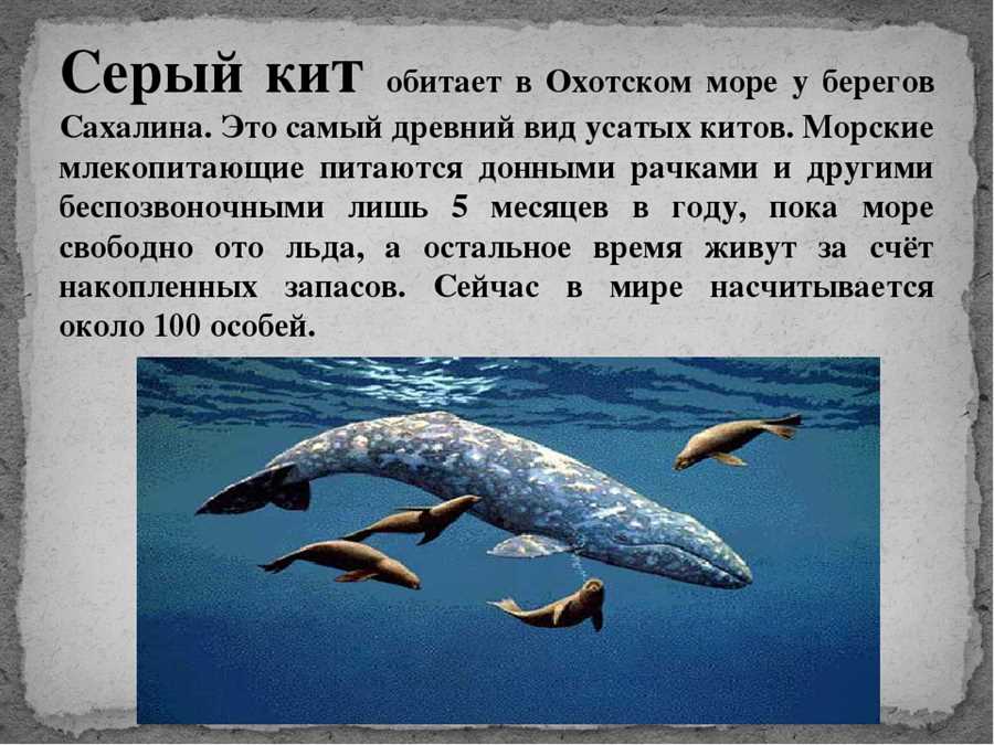 Список
