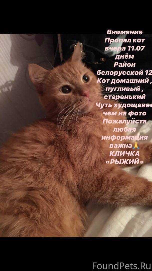 Индивидуальные