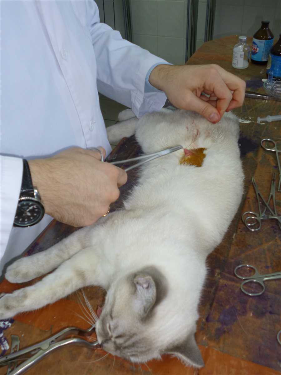 Какие