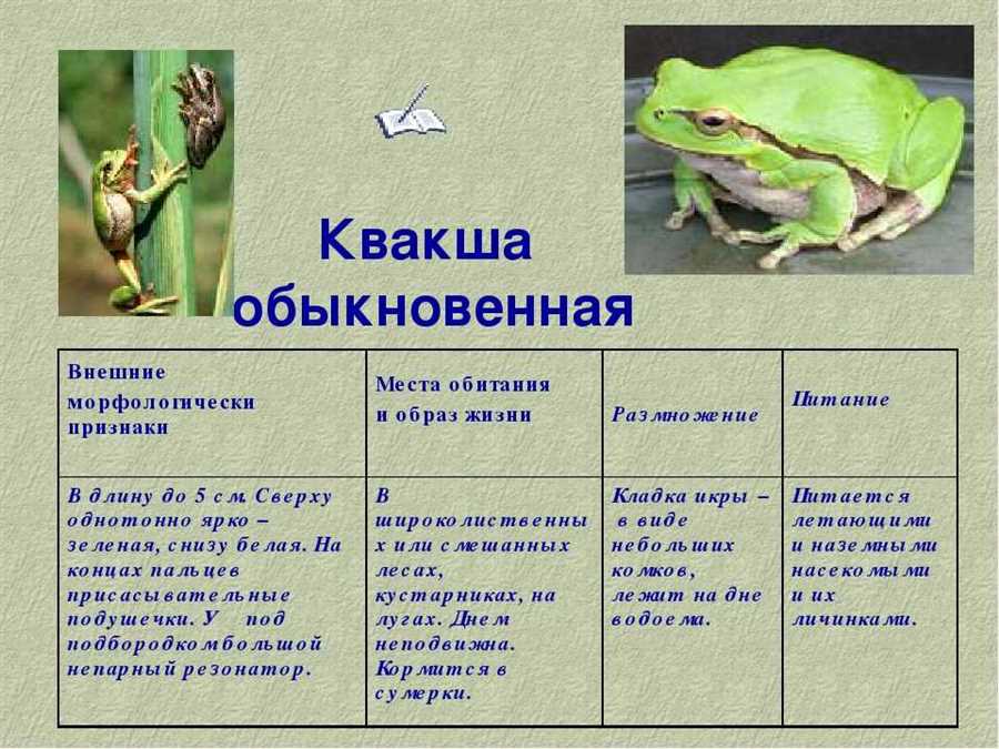 Семейство