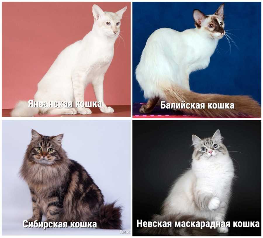 Характер