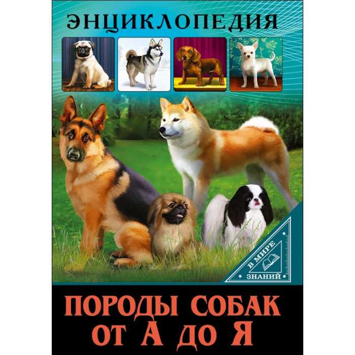Характеристики