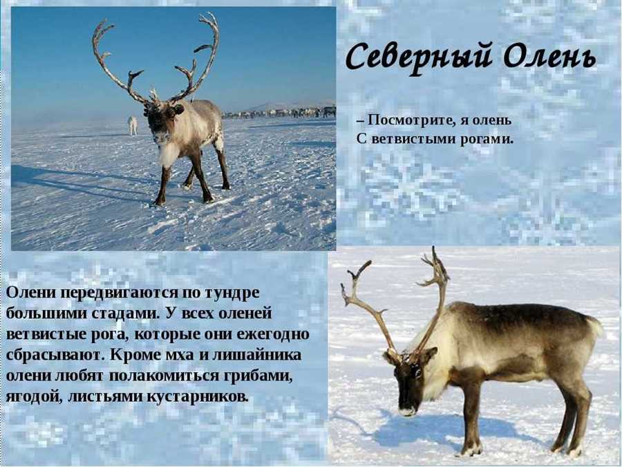 Место
