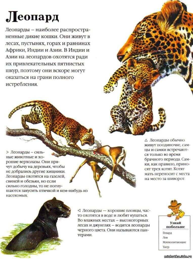 Взаимодействие