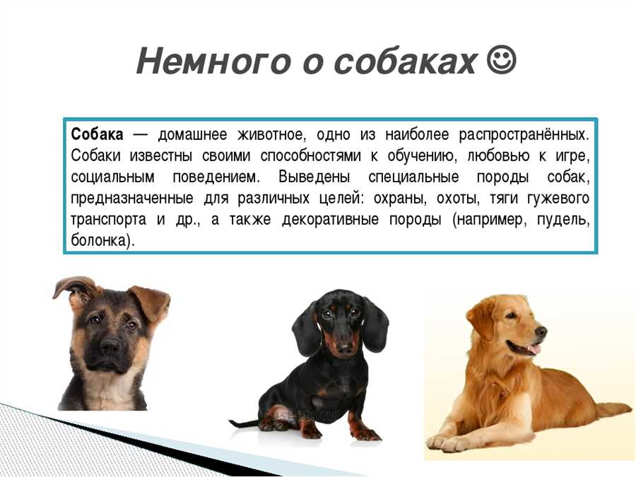 Здоровье