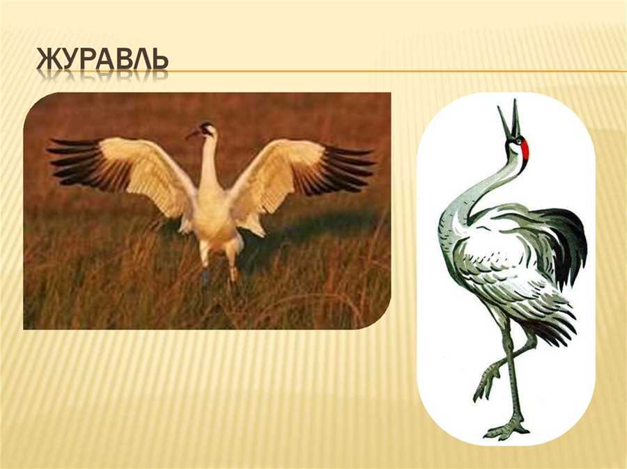 Журавли