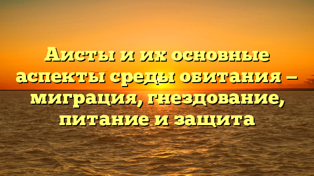 Аисты и их основные аспекты среды обитания — миграция, гнездование, питание и защита