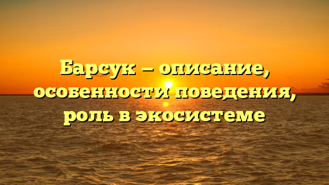 Барсук — описание, особенности поведения, роль в экосистеме