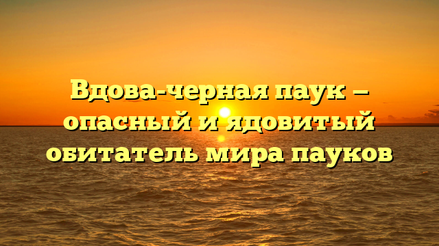 Вдова-черная паук — опасный и ядовитый обитатель мира пауков