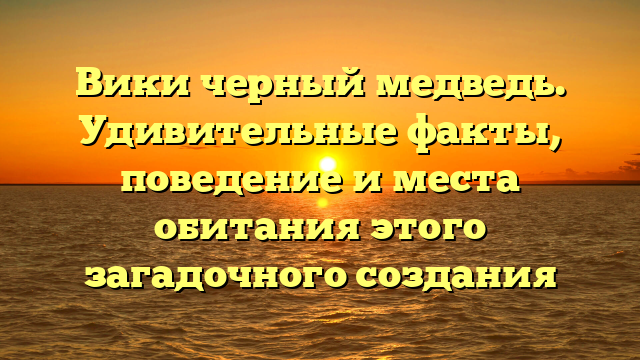 Вики черный медведь. Удивительные факты, поведение и места обитания этого загадочного создания