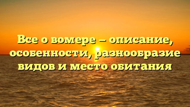 Все о вомере — описание, особенности, разнообразие видов и место обитания