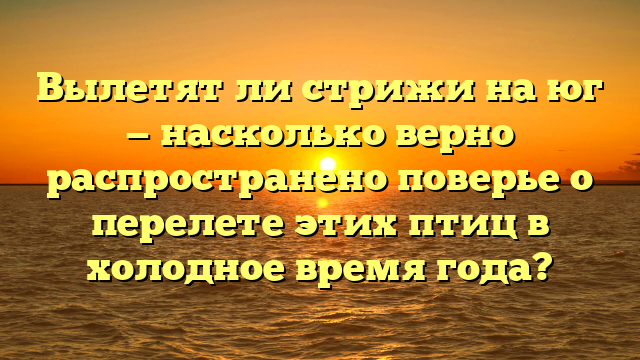 Вылетят ли стрижи на юг — насколько верно распространено поверье о перелете этих птиц в холодное время года?