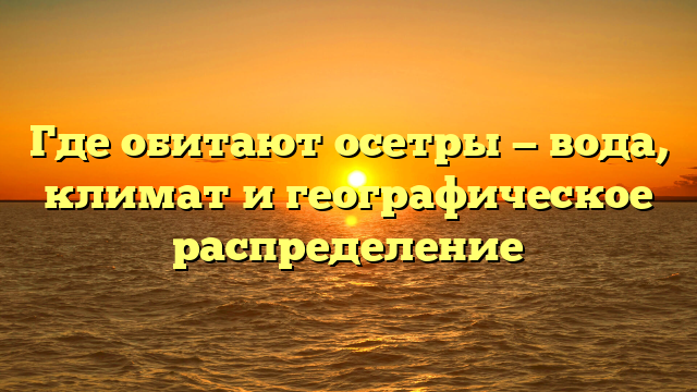 Где обитают осетры — вода, климат и географическое распределение