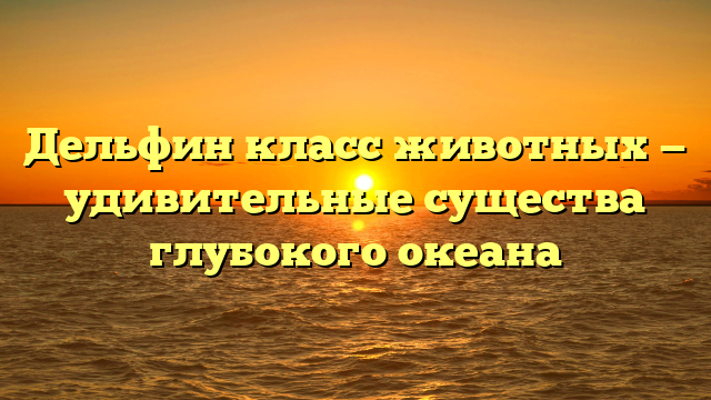 Дельфин класс животных — удивительные существа глубокого океана