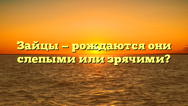 Зайцы — рождаются они слепыми или зрячими?