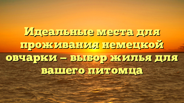 Идеальные места для проживания немецкой овчарки — выбор жилья для вашего питомца