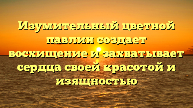 Изумительный цветной павлин создает восхищение и захватывает сердца своей красотой и изящностью