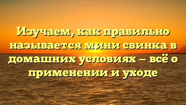 Изучаем, как правильно называется мини свинка в домашних условиях — всё о применении и уходе