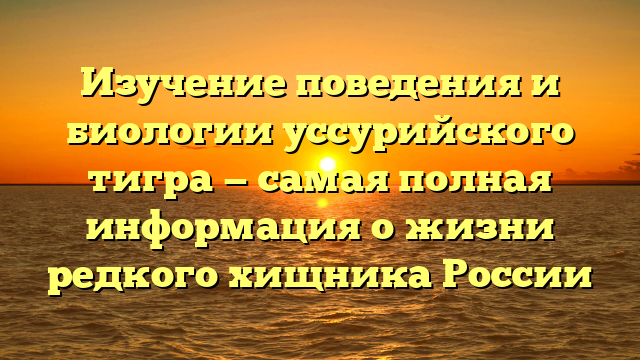 Изучение поведения и биологии уссурийского тигра — самая полная информация о жизни редкого хищника России