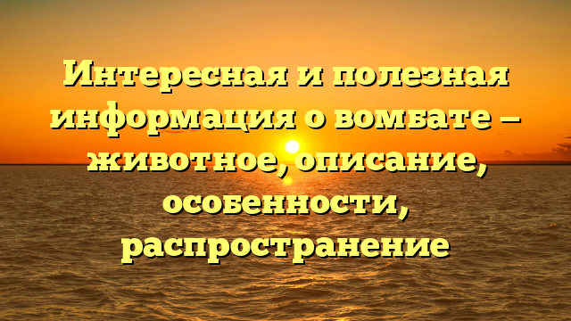 Интересная и полезная информация о вомбате — животное, описание, особенности, распространение