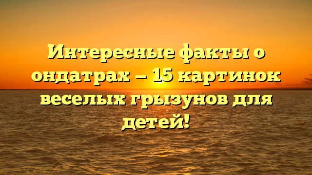 Интересные факты о ондатрах — 15 картинок веселых грызунов для детей!