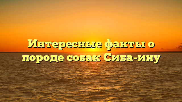 Интересные факты о породе собак Сиба-ину