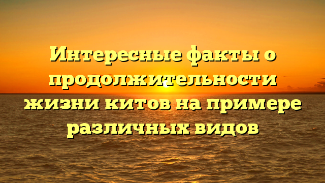 Интересные факты о продолжительности жизни китов на примере различных видов