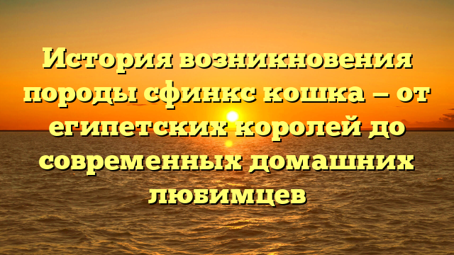 История возникновения породы сфинкс кошка — от египетских королей до современных домашних любимцев