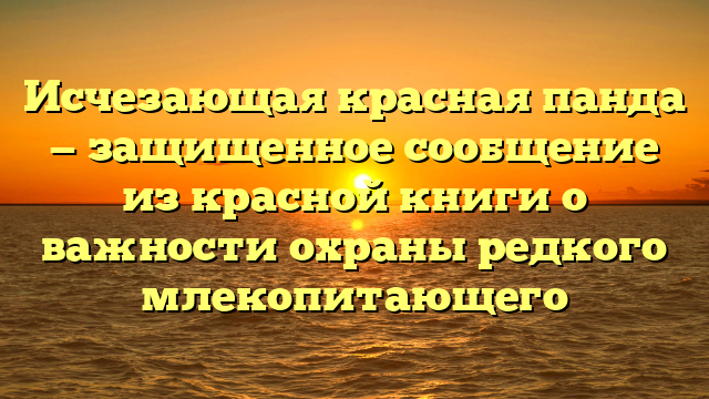 Исчезающая красная панда — защищенное сообщение из красной книги о важности охраны редкого млекопитающего