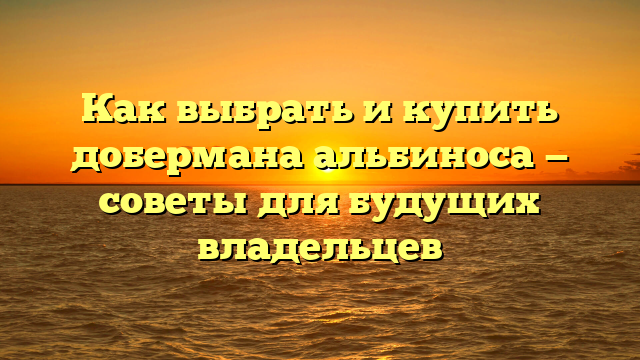 Как выбрать и купить добермана альбиноса — советы для будущих владельцев