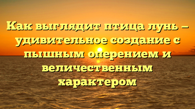 Как выглядит птица лунь — удивительное создание с пышным оперением и величественным характером