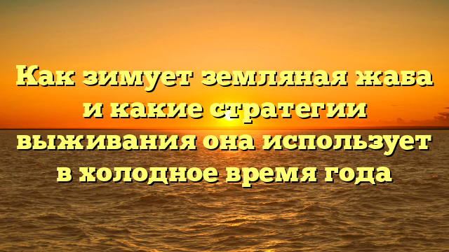 Как зимует земляная жаба и какие стратегии выживания она использует в холодное время года