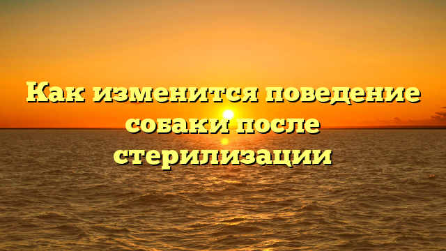 Как изменится поведение собаки после стерилизации